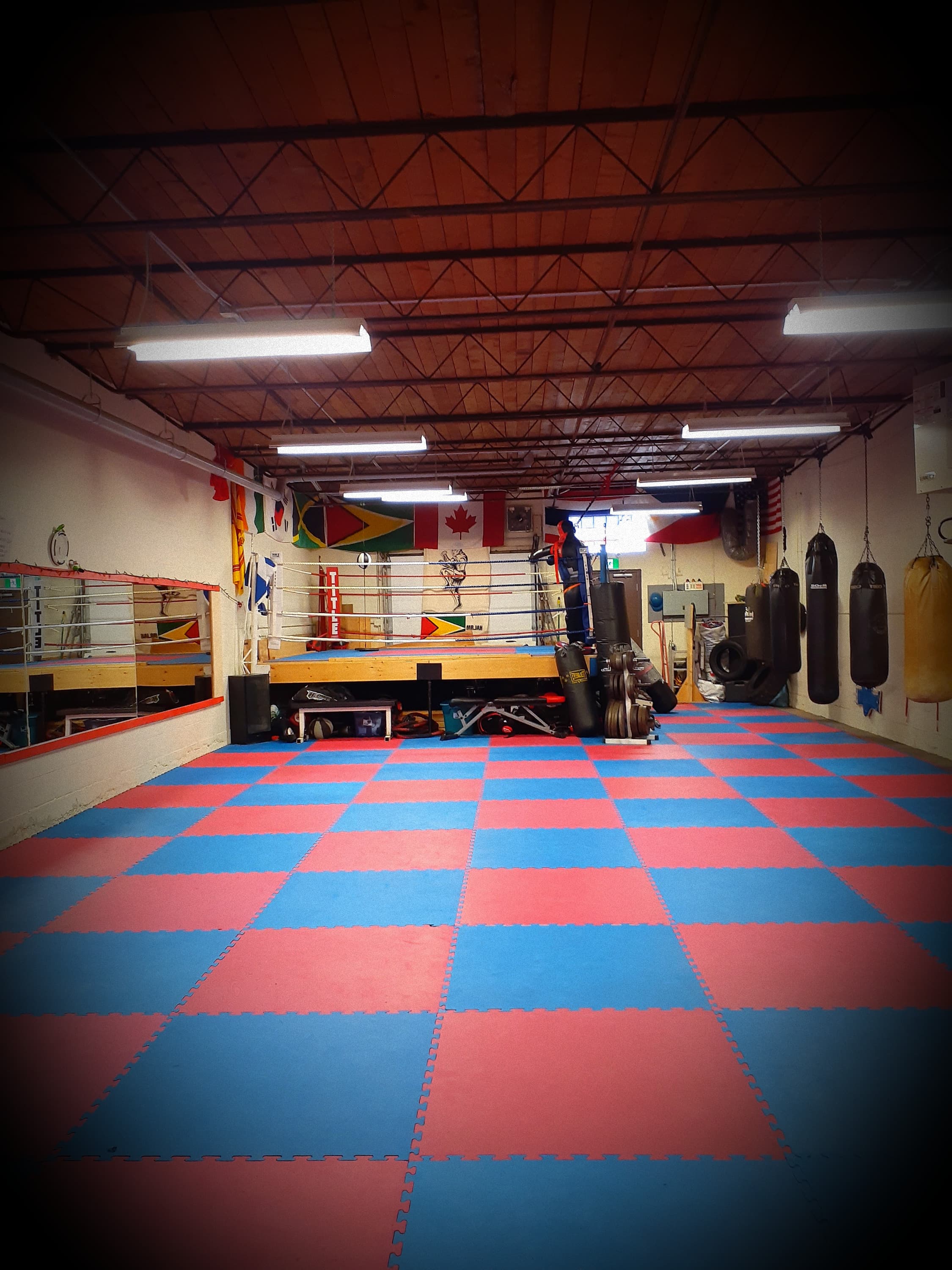 Double Dragon Kickboxing & Muay Thai logo