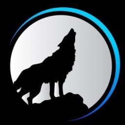 Blairstown Lobo MMA logo