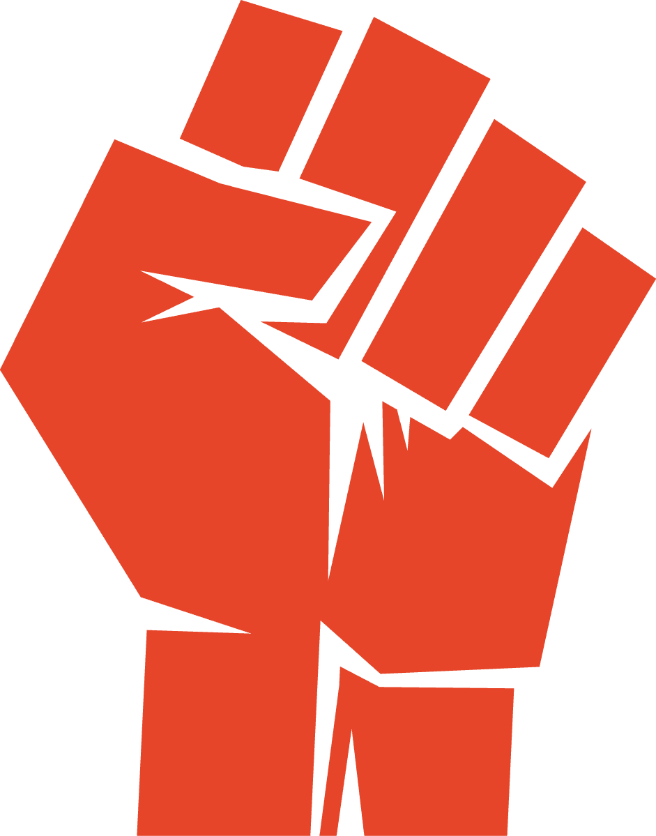 Dublin Kickboxing logo