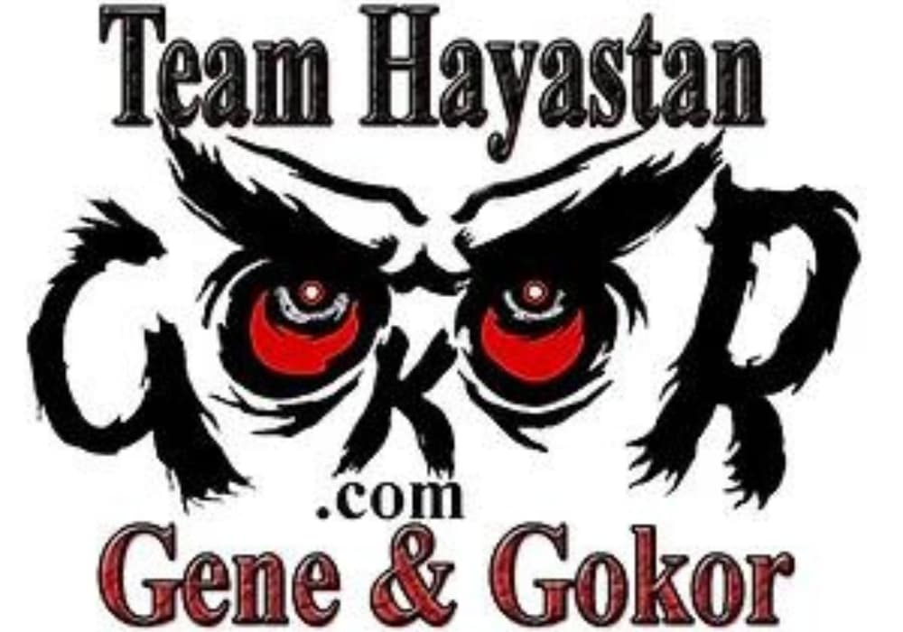 Exterior or interior of Hayastan MMA Santa Clarita