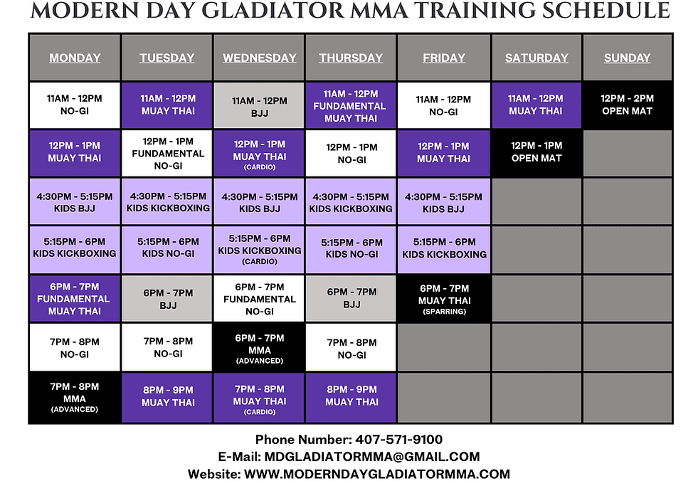 Exterior or interior of Modern Day Gladiator MMA