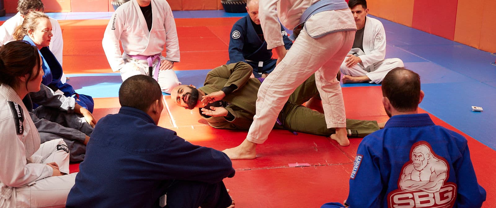 SBG NorCal Jiu Jitsu & Mixed Martial Arts logo