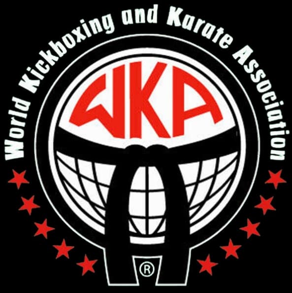 ZING Kickboxing Academy logo